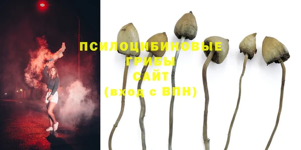 первитин Беломорск
