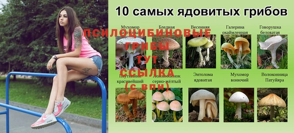 ALPHA PVP Балахна